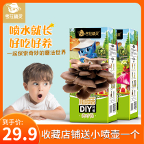 Corra genre mushroom diy bag Show Precious mushrooms Family Plane Mushroom Fungus Bag Seed Rod Parent-child Nursery School