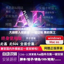 AeCC20212 Chinese plug-in collection software light effect script keying subtitle particle e3d grinding face color