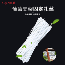 Pitaya tied silk plastic flat 0 55mm Garden branches electro-galvanized iron wire tie thread 0 75 grape tie silk