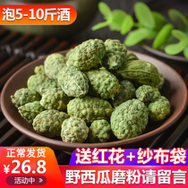 Wild watermelon Xinjiang wild bubble wine material specialty hook hammer fruit Turpan Chinese Herbal medicine 250 grams rub lumbar spine joints