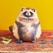 Crazy Promotion Spot Japan Finarie DREAM YOU MORE FOX RACCOON PLUSH Plush Two Sides Cushion Against Holding Pillows