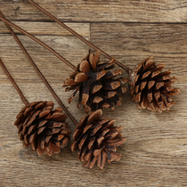 Songta dried flower original ecological pine cone ornaments dried flower oil pine fruit pine fruit shooting props pine fruit branch background