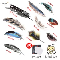 Car scratch stickers Feather personality creative body cover bumper modification decoration car stickers stickers Car decoration