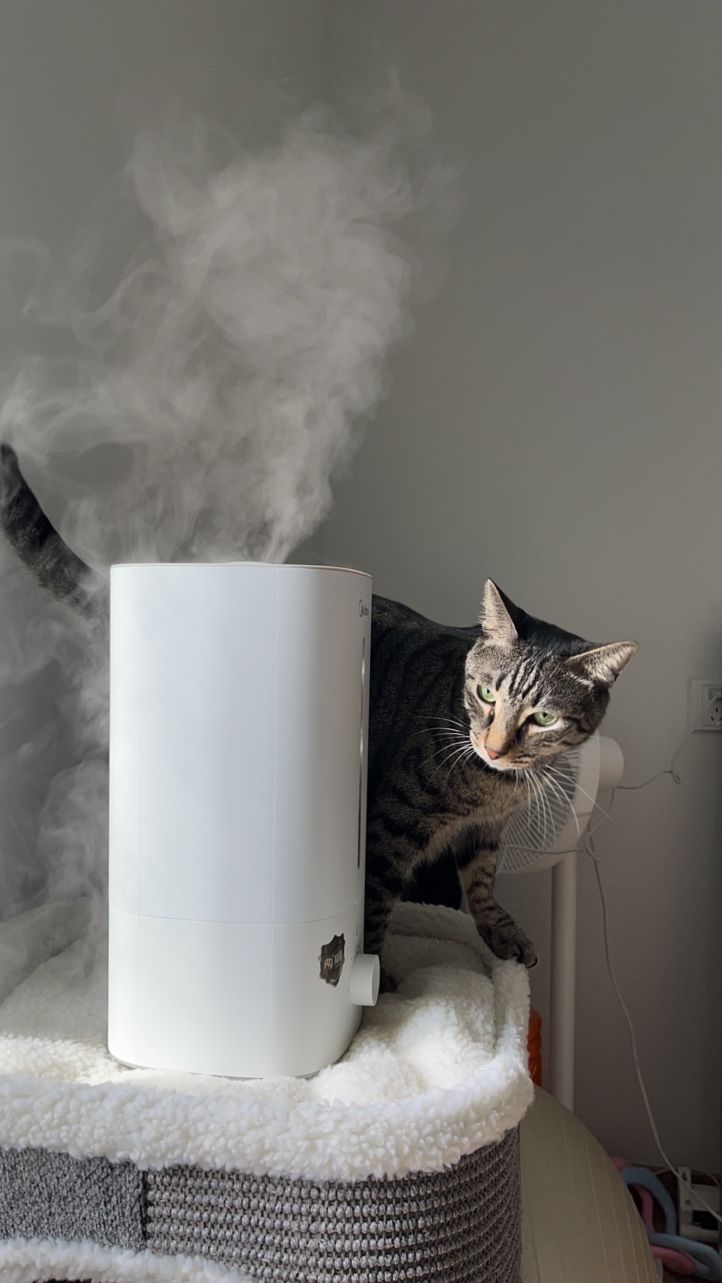 美的加湿器哪款好，美的加湿器为什么不喷雾了