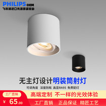 Philips chip-mounted lighting Lighting Restaurant without main lighting anti-glare lighting high color-display eye washing lamp