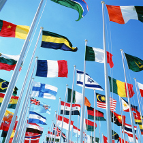 (national flags) Professional flag plant 6 Number of flags 60 * 40CM can be booked for the flag