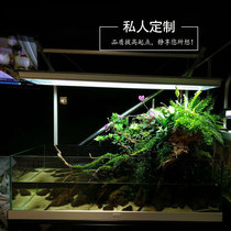 Private Custom Fish Tank Aquarium Large Real Water Grass Tropical Rainforest Amphibious Engineering Fish Tank Cloth View