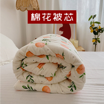 To Dan childrens cotton quilt autumn and winter cotton quilt core kindergarten cotton warm thick baby quilt nap quilt