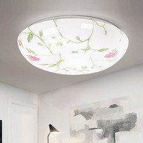 LED ceiling lamp Round modern living room lamp Simple bedroom lamp Study aisle Balcony Kitchen bathroom Dining room corridor lamp