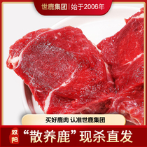 Plum Blossom Deer Meat Fresh Whole Fat Low Carbon Water Low Fitness Alternative Beef Pot Soup Hotpot Raw Fresh Deer Meat Ciso