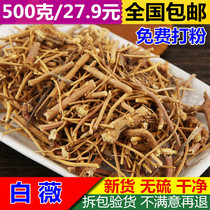 Bai-Bai Wei 500g Chinese herbal medicine Bai Wei new goods Miscanthus spring grass White horsetail white curtain can play White Wei powder