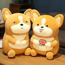 Chai Dog Paparazzi Puppies Plush Toys Kokie Cute Doll Doll Holding Pillow Sleeping Bed Ultra Soft Girl Presents