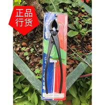 -Japanese imported clear crane oblique cut-Bonsai tool-flower scissors-ball joint pliers-Bonsai special tool