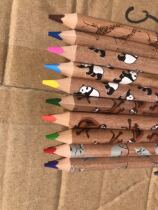 Triangle Safety 1 cm Diameter Plus Coarse Rod Child Plus Coarse Core Animal Pattern 12 Color Oily Colored Pencil
