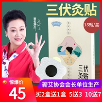 Qi Ai moxibustion paste Qi Ai Tang acupoint paste for children and adults navel paste for winter diseases and summer cure for children three volts moxibustion paste