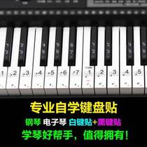 Piano Phonetic stickers Piano Keyboard Stickers 88 88 Key 61 Electronic Chin Keys Post Professional Version Of Line Spectral Tone Soundstage Stickler