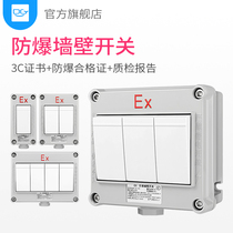 Explosion-proof wall switch 220V single open double Open one two three four open industrial explosion-proof lighting switch 10A single and double control