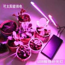 USB solar plant fill light LED succulent anti-leggy coloring longevity imitation full-spectrum flowers indoor home