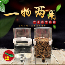 Bird drinking water dispenser Automatic feeder Starling parrot food box Anti-sprinkling and splash-proof feeder Drinking water dispenser Bird cage accessories