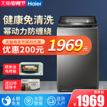 Haier washing machine automatic wave wheel 10 kg kg household free-cleaning large capacity anti-winding official flagship store