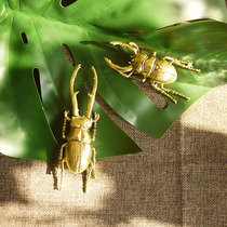 W1962 India imports Nordic wind gold metal beetle shovel gold A decorative pendulum home paper Town