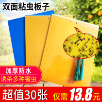 Greenhouse orchard garden double-sided armyworm board Blue board Yellow board Sticky punch board Waterproof double-sided insect trap board Thrips sticky board