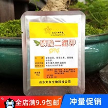 Potassium dihydrogen phosphate water-soluble fertilizer family green plants flowers vegetables and fruits flower fertilizers hydroponic plants universal fleshy potassium fertilizers