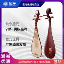  Beijing Xinghai Pipa musical instrument 8972QZ mahogany professional adult children exam pear pipa practice pipa