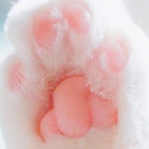 Cat meat pad Mengmeng attacked the super-Q Super bullet poke mud decompression egg slime