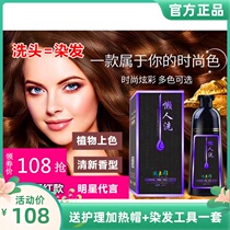 Plant Hair Dye Natural Pure Bubbles Lazy Man Wash Natural Black Hair Dyeing Cream for Men and Women Chestnut Brown Popular