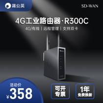 Dandelion 4G industrial router R300C dual card wifi stable networking lte full Netcom remote PLC remote networking high gain external antenna watchdog rail type