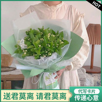 Jasmine bouquet flowers send boyfriend city flower delivery courier chamomile flower bouquet birthday send Shenyang
