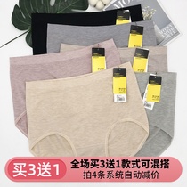 买3送1酷色女士内裤引力裤珍珠裤高腰超大码莫代尔妈妈三角裤937D