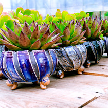 (Bang Yong Shangpin)Coarse pottery large burst flow glaze Succulents flower pot Large Dongyun ebony flower pot Pottery breathable