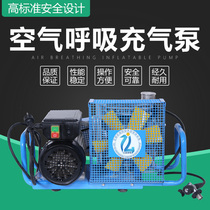 Submersible fire air respirator Cylinder air pump 30Mpa high pressure air filling compression pump