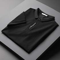 2020 new spring Summer POLO shirt male trend Business casual short sleeve T-shirt swarm with half sleeve Paul shirt