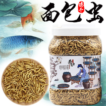 High protein freeze-dried breadworm dried yellow mealworm goldfish feed Silver Dragon parrot fish food arhats map fish food