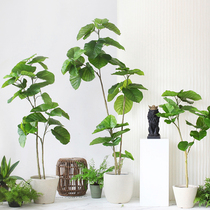  Sicily simulation plant Linden tree Nordic green plant heart leaf banyan floor potted home living room shop decoration