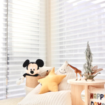 Toilet window covering curtains Shangri-La curtains pulled balcony shade curtains electric rolling curtains