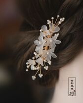 Hairpin Simple Modern Hanfu Accessories Classical Hairpin Hairpin Super Flash Side Clips Bride Headdress Female Fairy Forest