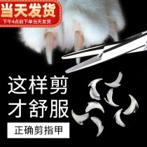 Cat crummy nail clippers nail clippers nail clippers nail clippers nail clippers nail clippers nail clippers