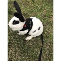 Ann rabbit leash leash rabbit rope rabbit strap rabbit chain large small traction rope