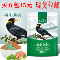 Bird Food Bird Grain Bird Feed Naughty Baby Boutique of the 8th Gothic Painted Eyebrows of the Magpie Food