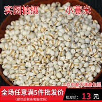 Guizhou small barley 500 grams of barley kernels coix kernels farm-produced new goods barley gorgon moisture-removing rice kernels