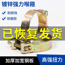 Iron galvanized European style strong hose hoop thickened pipe hoop Heavy pipe clamp hoop clamp clamp Hoop water pipe tubing steel wire pipe