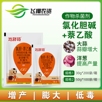 Dipang brother chlorocholnaphthalene acetic acid expansion agent notoginseng atractylodes ginger potato underground rhizome tube production increasing expansion agent
