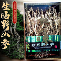 Wild Mountain ginseng ginseng Northeast special production Changbai Mountain ginseng Qiandry ginseng eighteen years 25 gr gift box