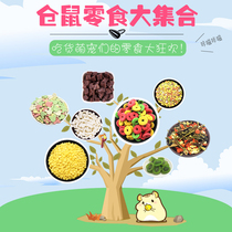 Hamster Grain Package Complete Nourishment Grindroe Small Pale Pale Pale Cine Golden Silk Bear Pregnant Gestation Mouse Nutraceutical Food Self-Worthy Main Grain