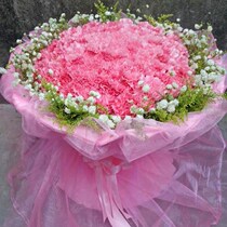 Carnation Suzhou Jiangsu Province Taicang City Chengxiang Shuangfeng Town Tongcheng Flower Shop to send flowers to the door