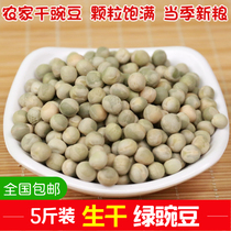5 catties of farmhouse raw pea grains green peas green core peas dry peas can be brewed to make pea sprouts to feed pigeons
